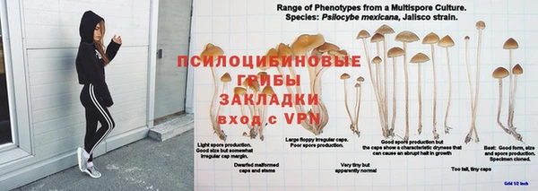 прущий лед Корсаков