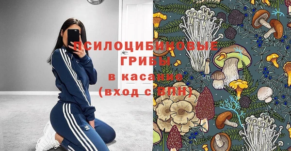 СК Санкт-Петербург