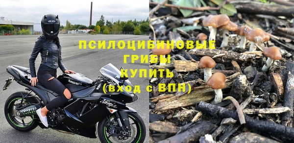 тгк Коряжма