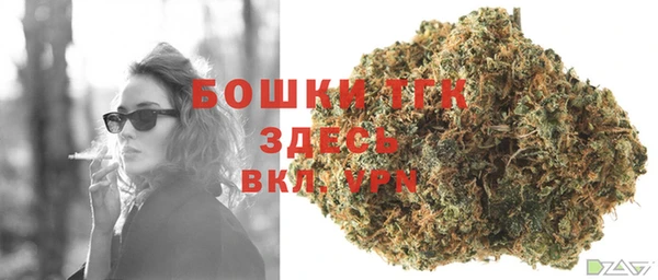 тгк Коряжма