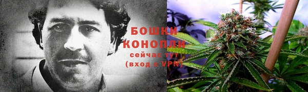 прущий лед Корсаков