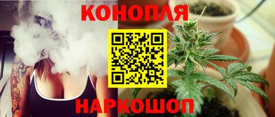 стафф Лесосибирск