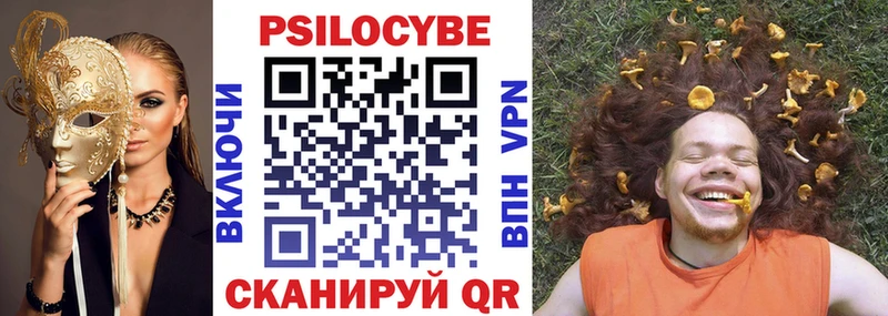 Псилоцибиновые грибы Psilocybine cubensis  Юрга 