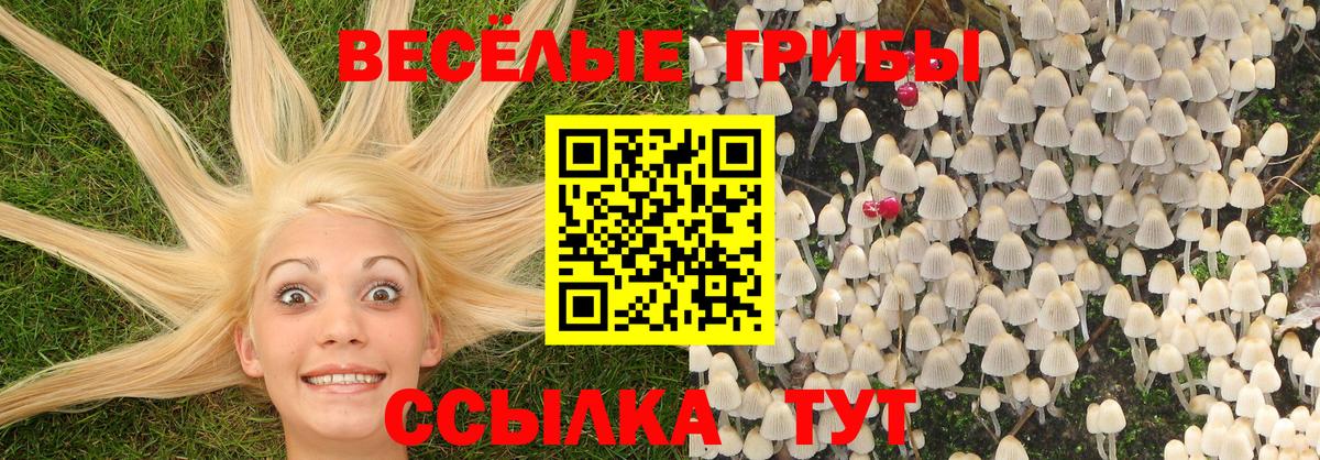 Псилоцибиновые грибы прущие грибы Юрга